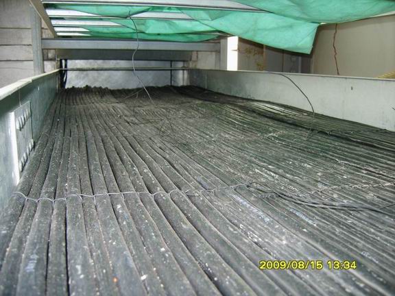 //youhuiquan818.com/UploadFile/20090817025458326.JPG